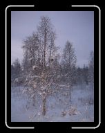 0212_0301 Sverige 016 * 600 x 800 * (68KB)